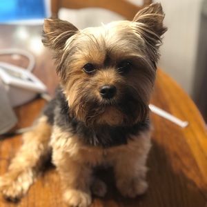 Meet your Posher, Tori